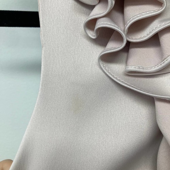 JS Collections Sheath Cocktail Dress Blush/Black - Picture 7 of 14